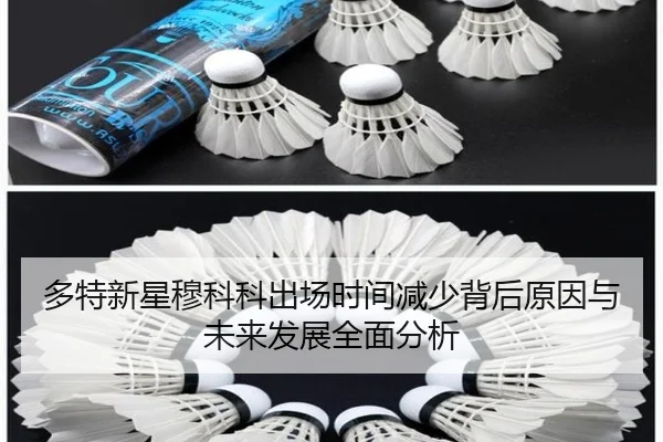 多特新星穆科科出场时间减少背后原因与未来发展全面分析